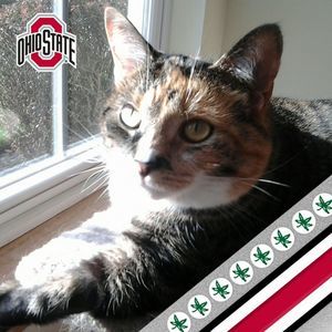 Meet your Posher, Cheryl